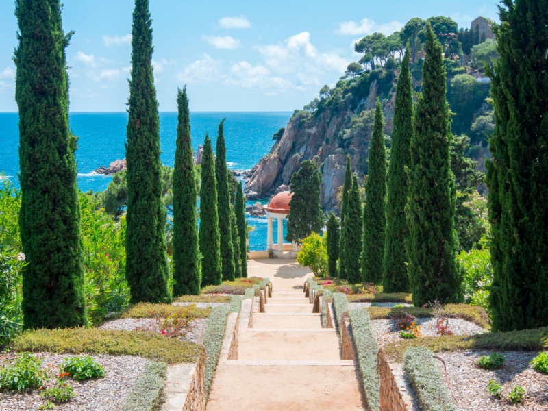 Descubra el Jardín Botánico Marimurtra de Blanes - Hotel Beverly